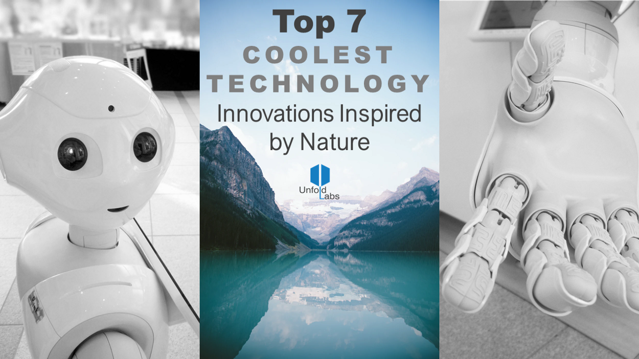 Technology Innovations Inspired by Nature